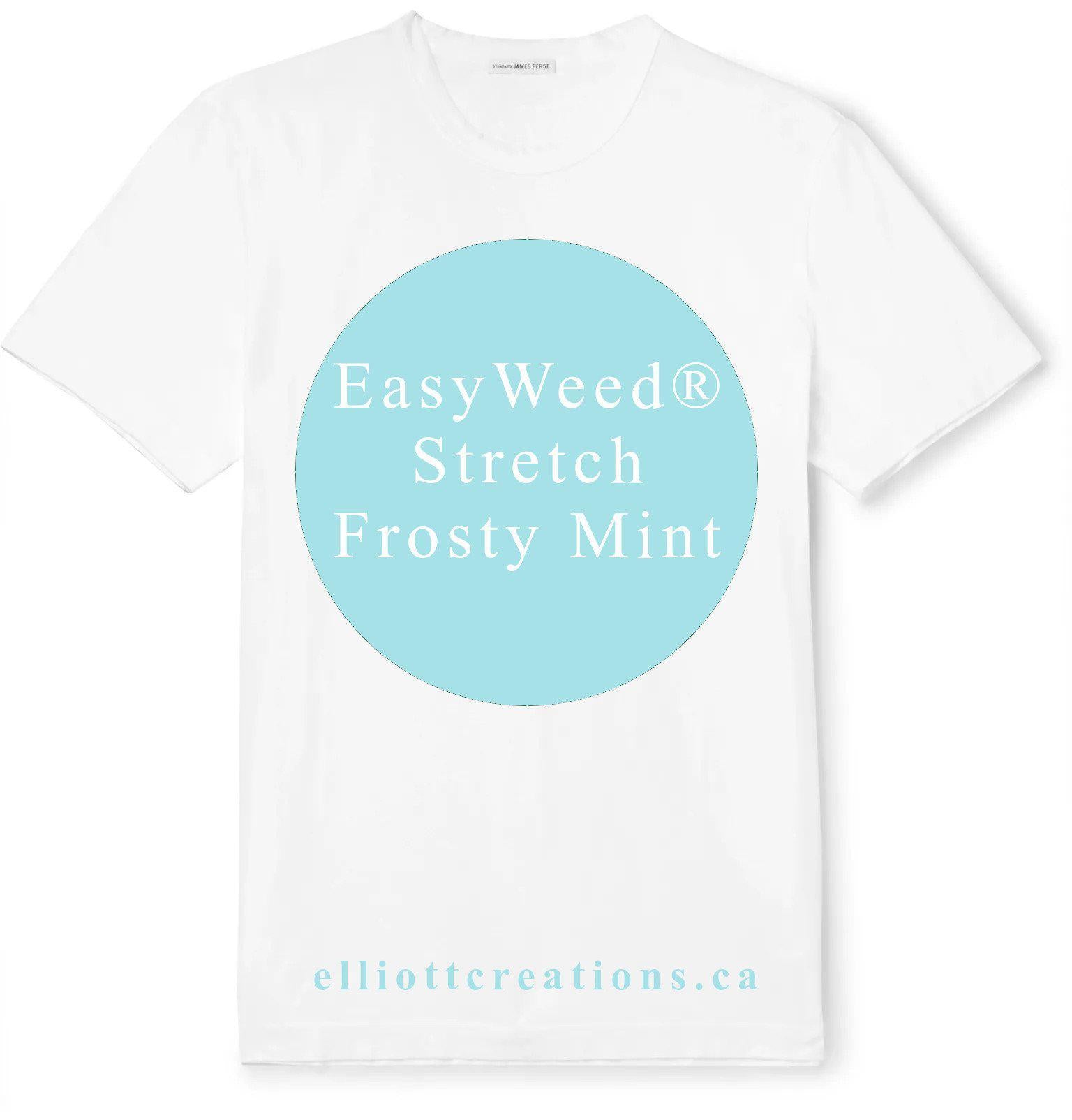 Frosty Mint - Siser EasyWeed® Stretch HTV-HTV-Elliott Creations